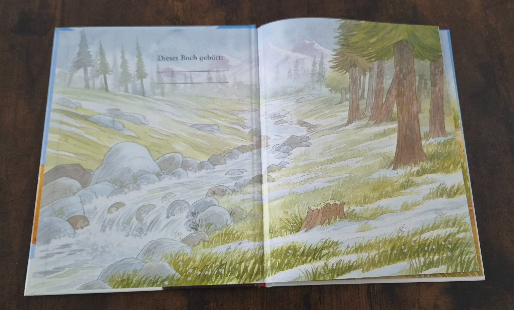 Libri: Bilderbuch Ich hab dich lieb Opa – Usato da Affoltern am Albis venduto da thingsANDthings 2