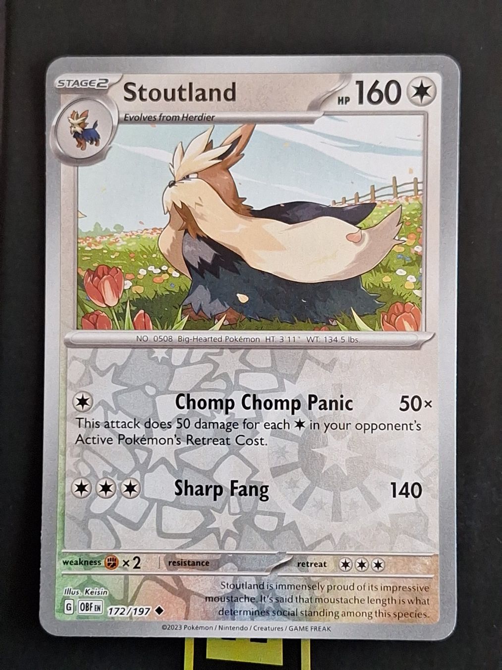 Pokémon Carte collezionabili: Stoutland - Pokemon Reverse Holo Obsidian Flames – Usato da Altstätten SG venduto da GGsGameshop