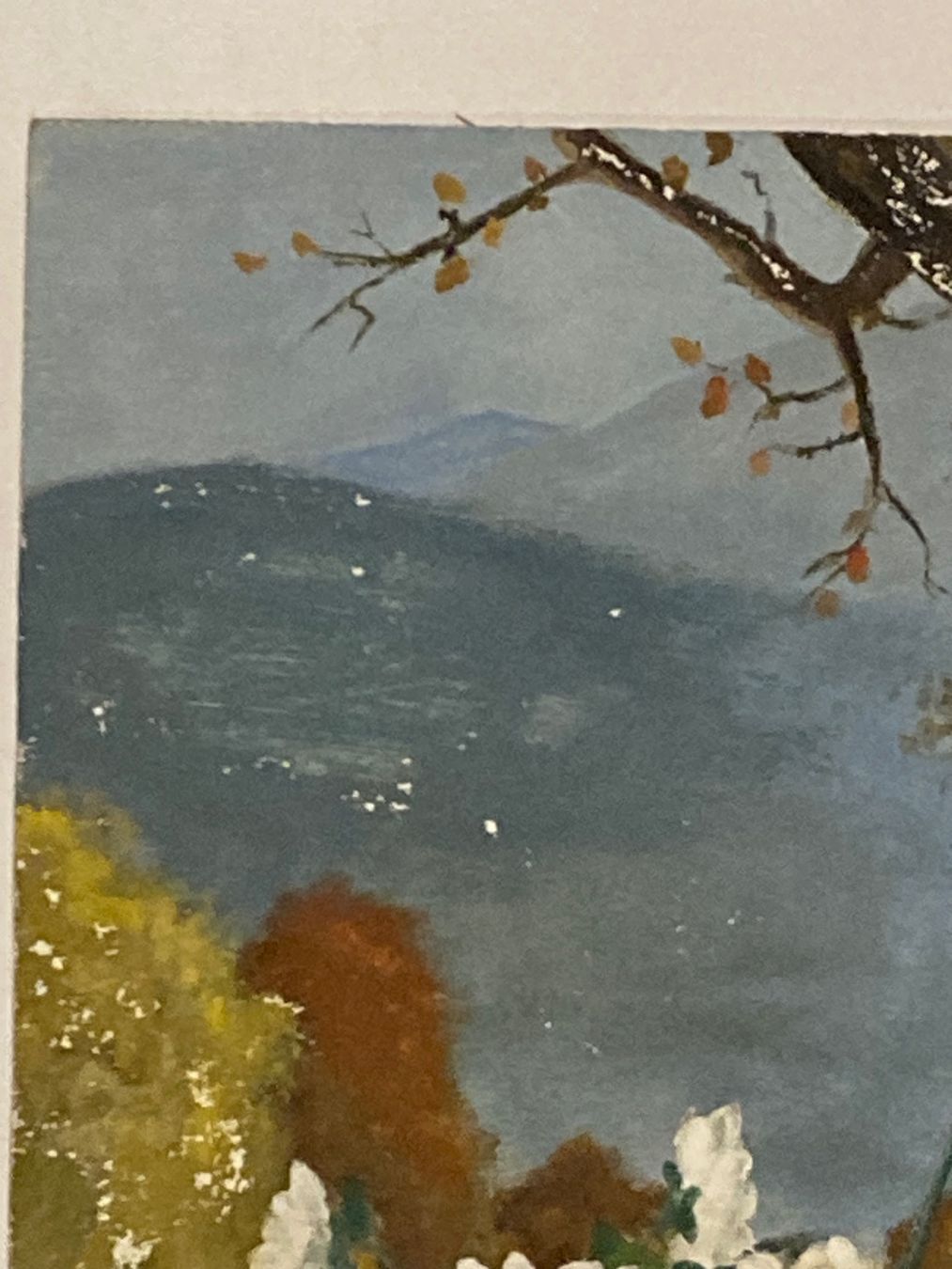 Dipinti: H.W. Landschaftsgemälde monogrammiert mit Blumen, Baum Berge – Usato da Hirzel venduto da pjn_d7xp 4
