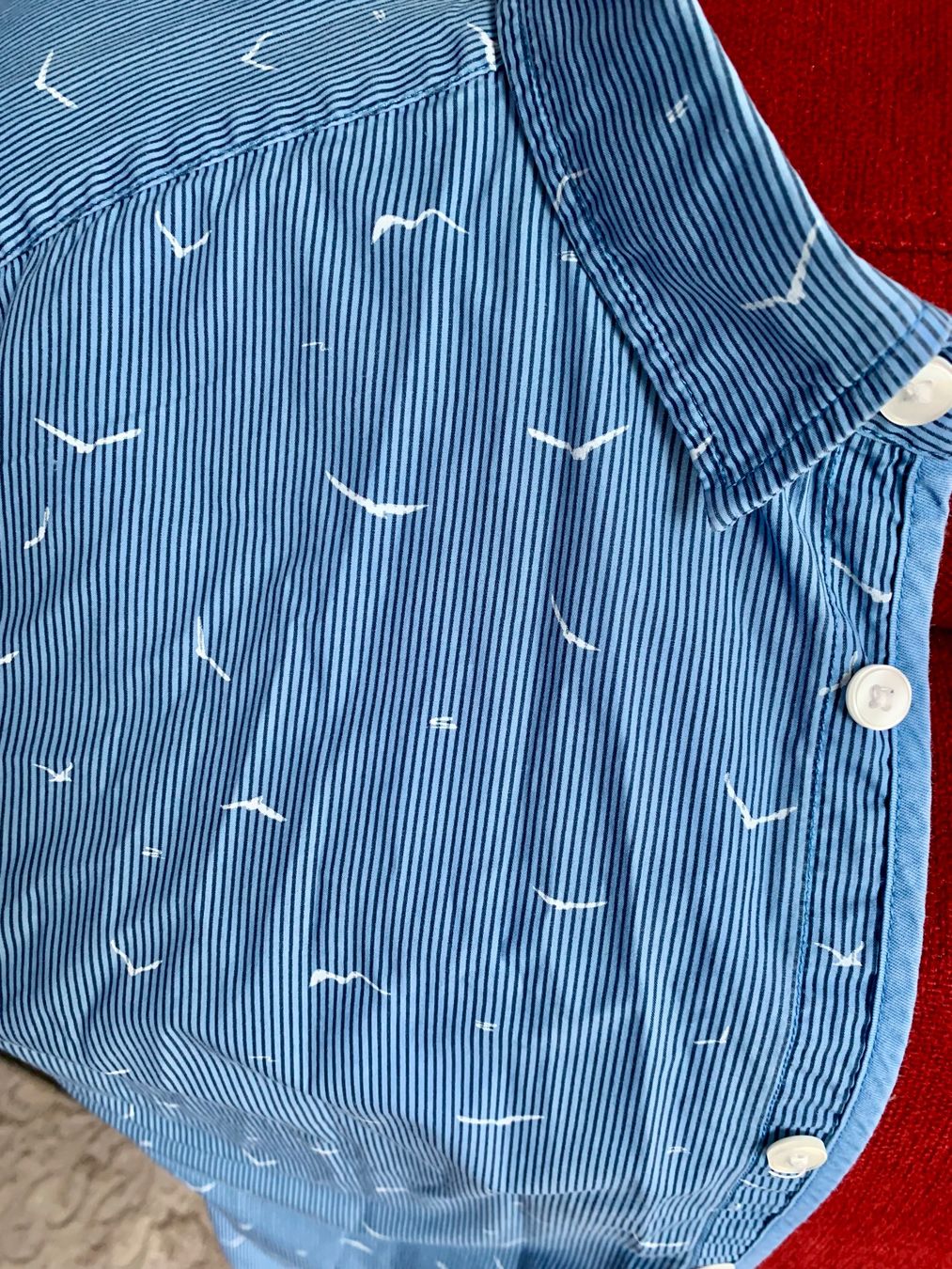 Esprit Hemden: Esprit Herren Hemd Blau Gr. L mit Muster Möwen Sommer – Gebraucht aus Engelburg von mamalanima 4