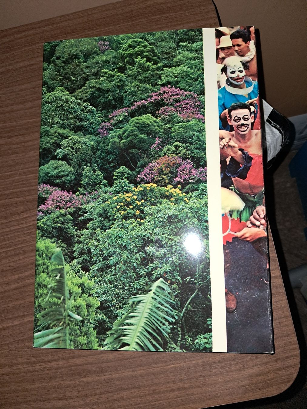 Libri: Livre sur le brésil – Usato da Le locle venduto da juliensaran 4