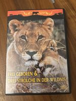 DVD Frei geboren & Drei Strolche in der Wildnis