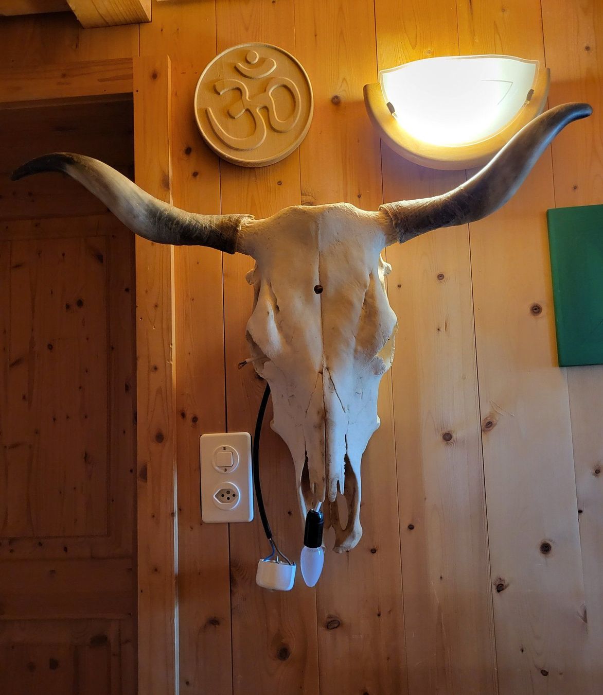 Lampade: Lampe Alte Kuhschädel – Usato da Wald ZH venduto da SwissPawnshop 1