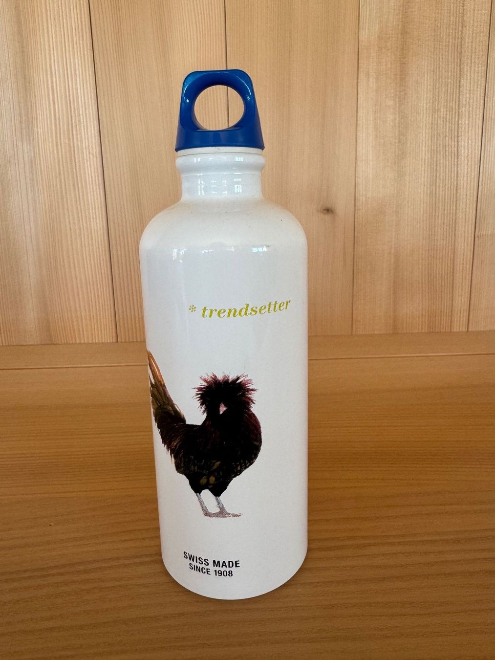 Sigg Borracce & Thermos: Trinkflasche SIGG - Durchmesser 7cm – Nuovo (secondo la descrizione) da Rombach venduto da MarkusJohannes