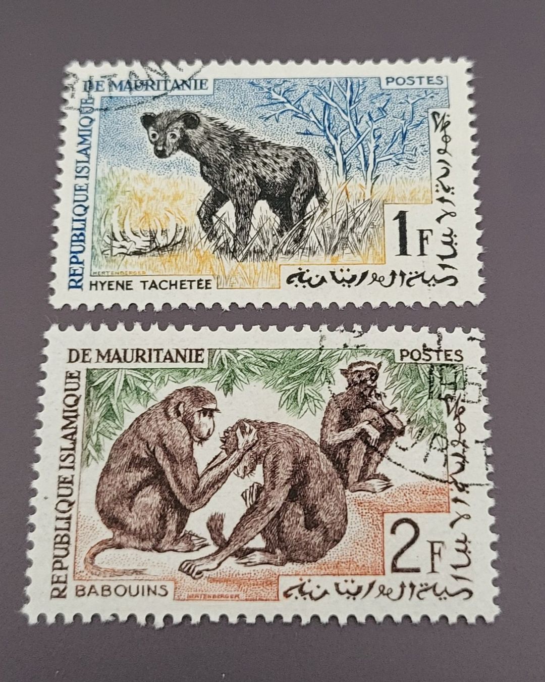 Tutti i francobolli: Mauretanien 1963 tiere briefmarke A022 – Usato da St Gallen venduto da Stampsalshobby