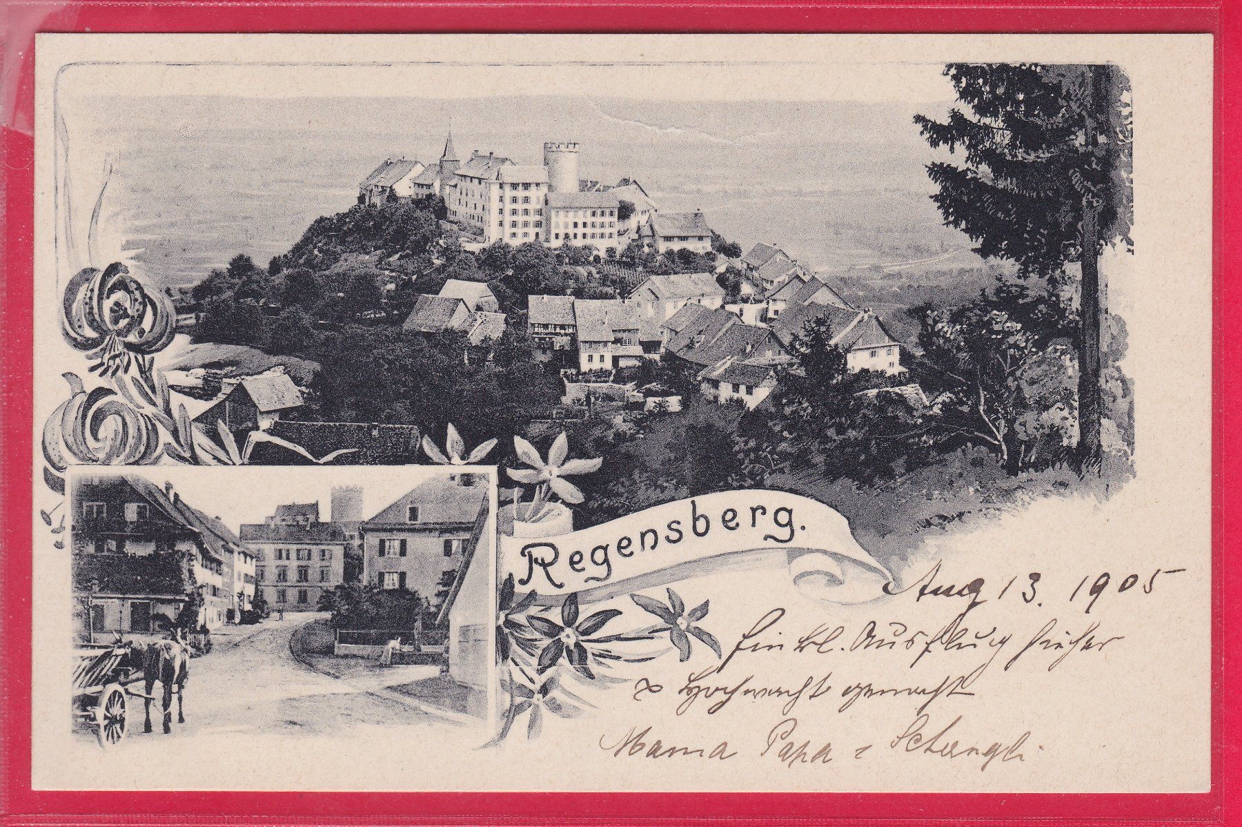Cartoline postali: REGENSBERG – Usato da Oberrieden venduto da Gebirgsstelze