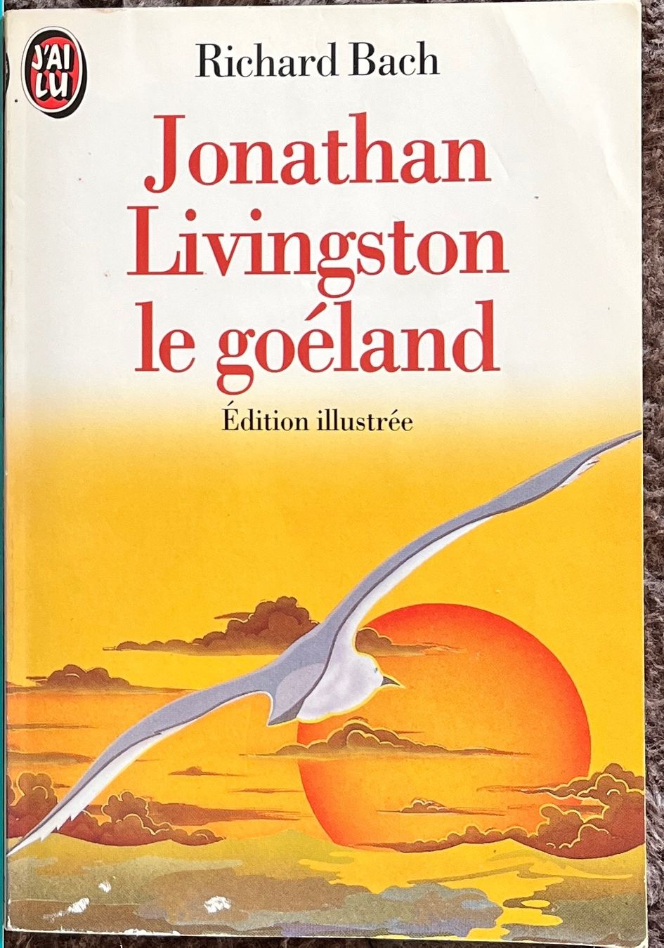 Libri: Jonatan Livingston le goéland – Usato da Renan BE venduto da johncactus