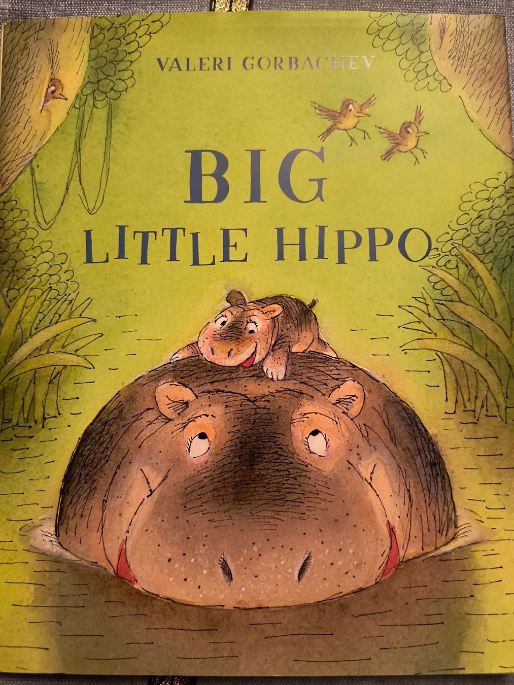 Libri: BIG LITTLE HIPPO Kinderbuch englischer Sprache – Usato da Schöfflisdorf venduto da kin_2dp9