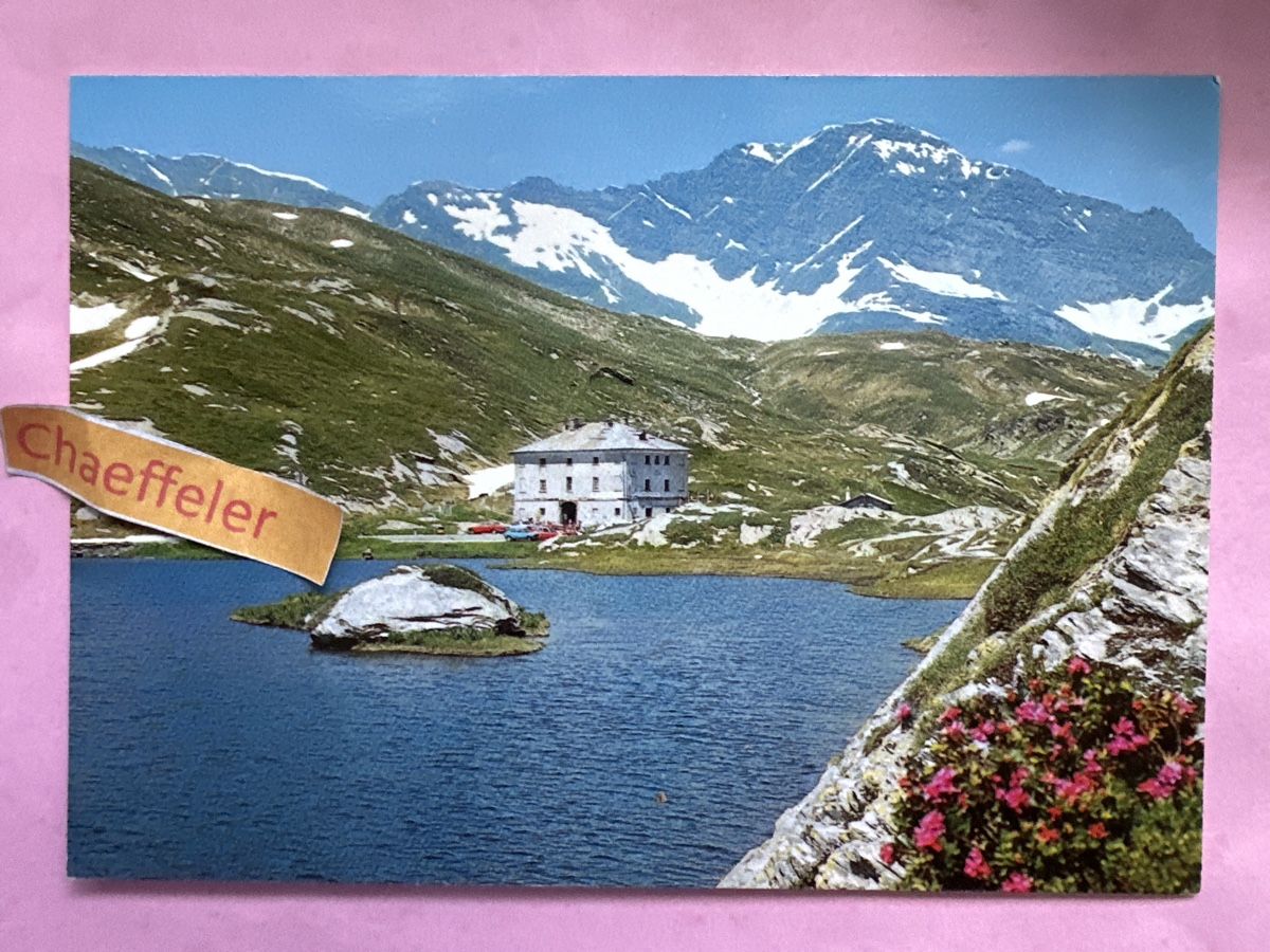 Cartoline postali: San Bernardino-Hospiz  – Usato da Zürich venduto da Chaeffeler