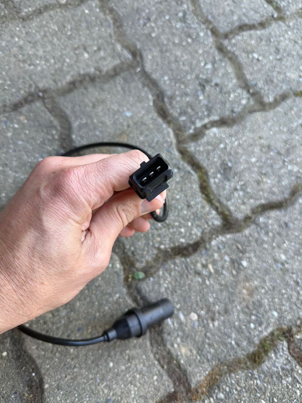 Ducati Tutti i ricambio per moto: Ducati Tachowelle / Geschwindigkeitssensor-Kabel – Usato da Attalens venduto da vicente_levy 2