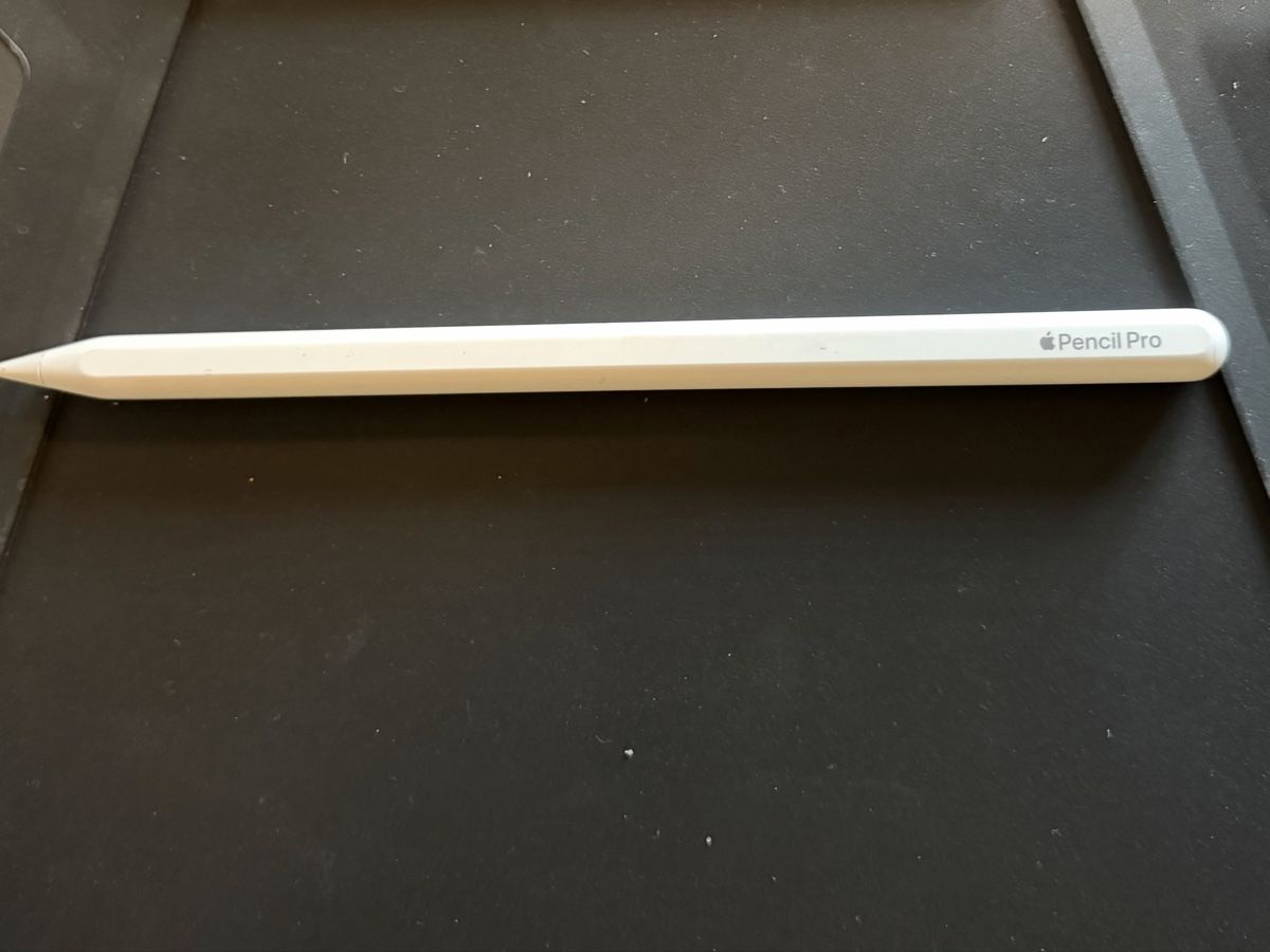 Apple Penna & Evidenziatori: Apple Pencil Pro – Top Zustand – Usato da Niedergampel venduto da EzzyFuzzy