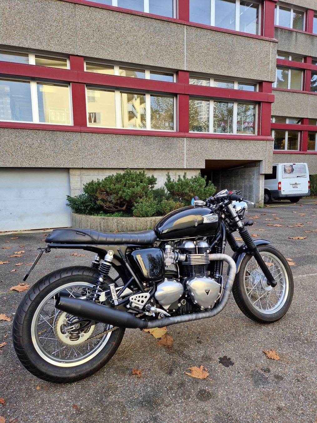 Triumph Strasse: Triumph Thruxton 900 – Gebraucht aus Bern von hcp2 1