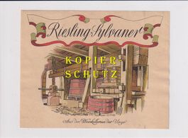 Etikette - Riesling x Sylvaner