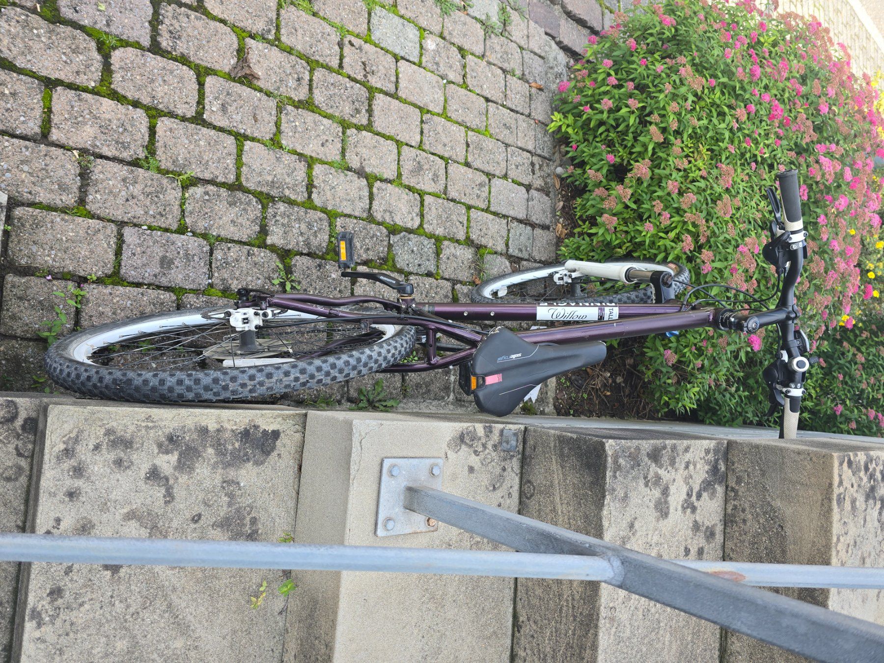 Pinnacle Biciclette: Fahrrad Velo Pinnacle – Usato da Maur venduto da pet_v5jw 2