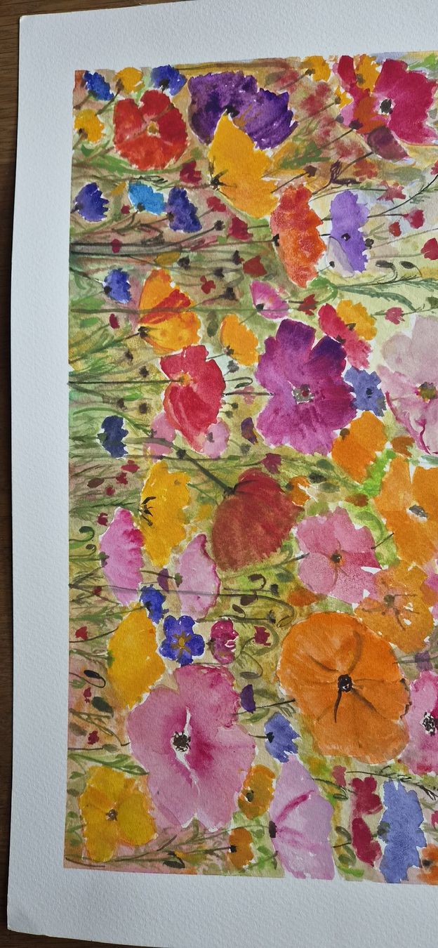 Dipinti: Colorful poppies – Nuovo e nell'imballaggio originale da Ebikon venduto da vij_fg72 2