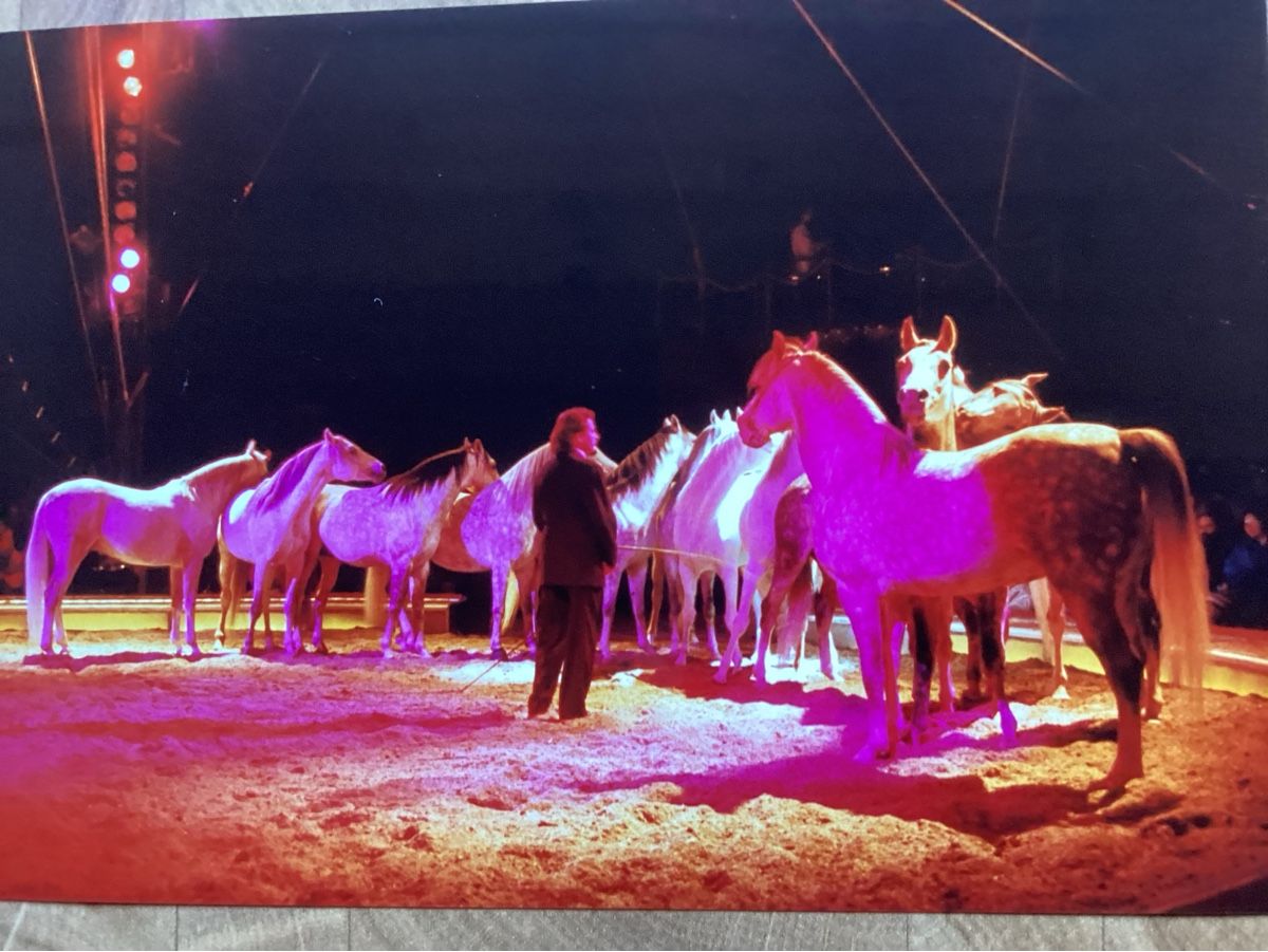 Foto & Immagini: Circus Knie Foto 1990 – Usato da Reichenbach i. K. venduto da astra2010