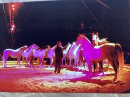 Circus Knie Foto 1990