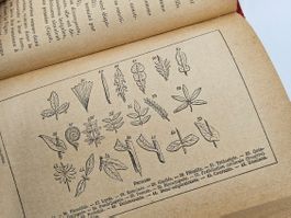 Livre ancien de botanique - Botanique du Grand-Père