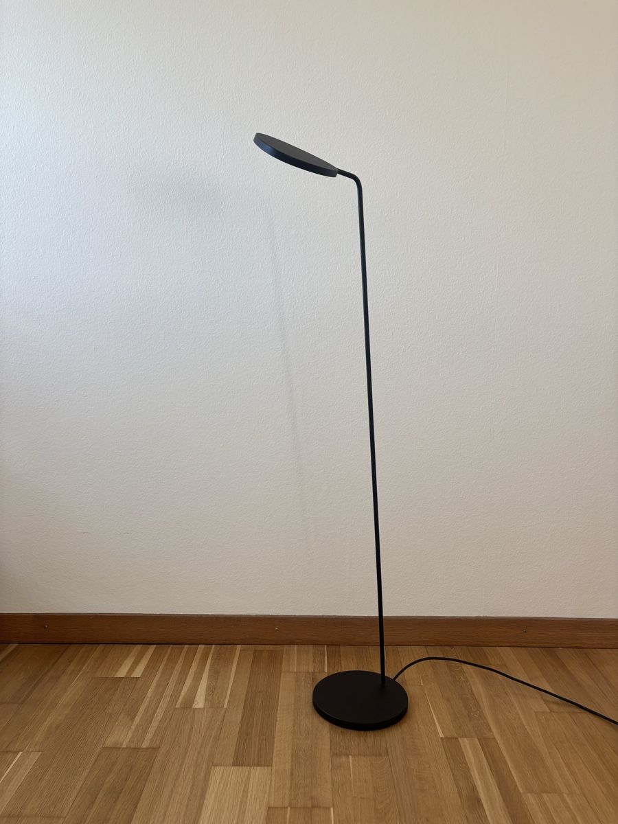 Muuto Lampen: Muuto Leaf LED-Stehleuchte, schwarz – Gebraucht aus Zürich von Nicolas_Cage 2