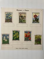 Cailler, Kohler, Peter, Chocolats, 7 vers. Bilder, Blumen