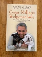 Cesas Milans Welpenschule