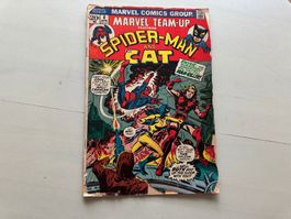 SPIDER MAN and the cat USA Kult Comic Vol.1No. 8 1973 Marvel