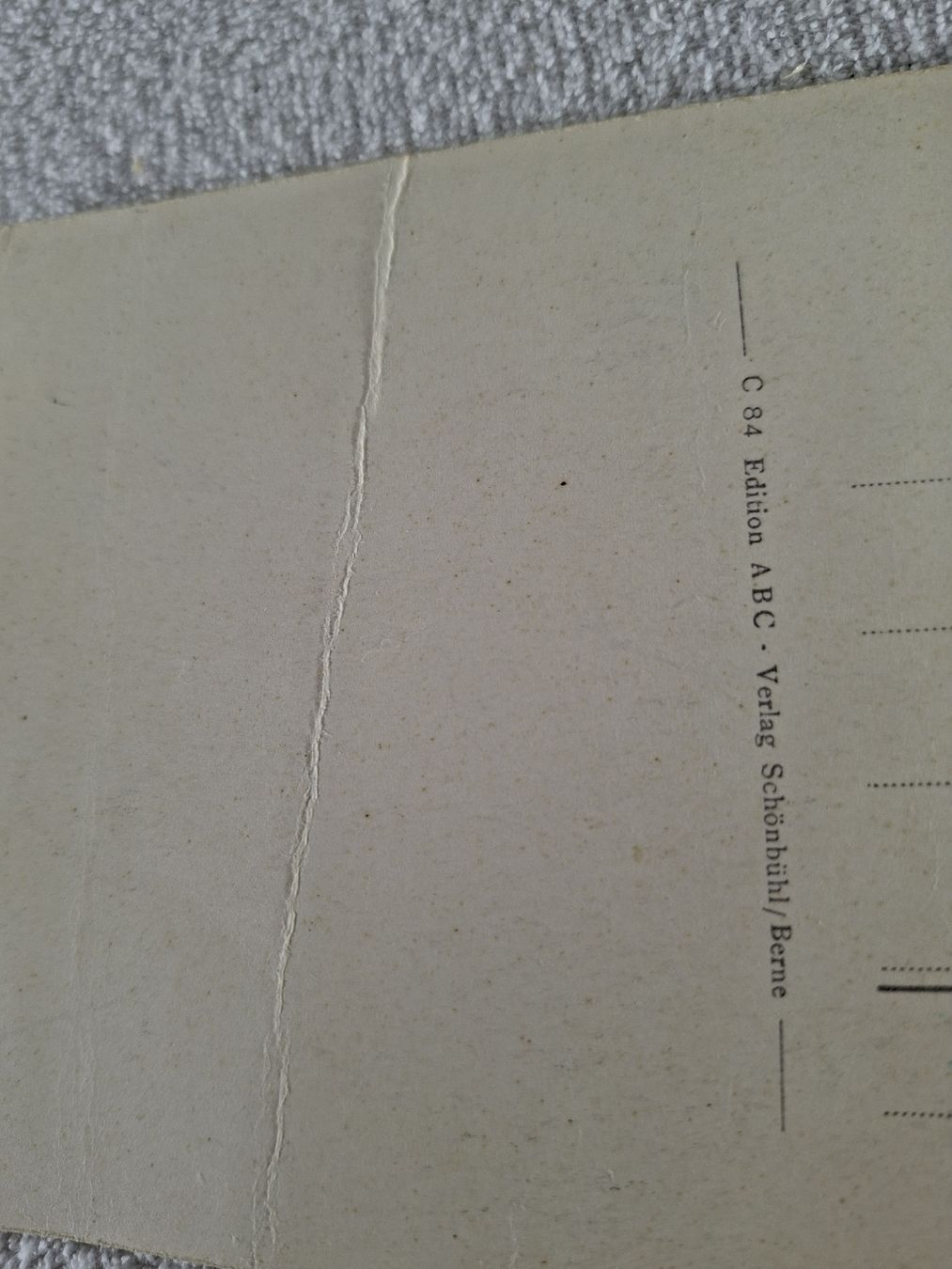 Cartoline postali: Ansichtskarte Bärengraben Bern – Usato da Grindelwald venduto da carro5 2