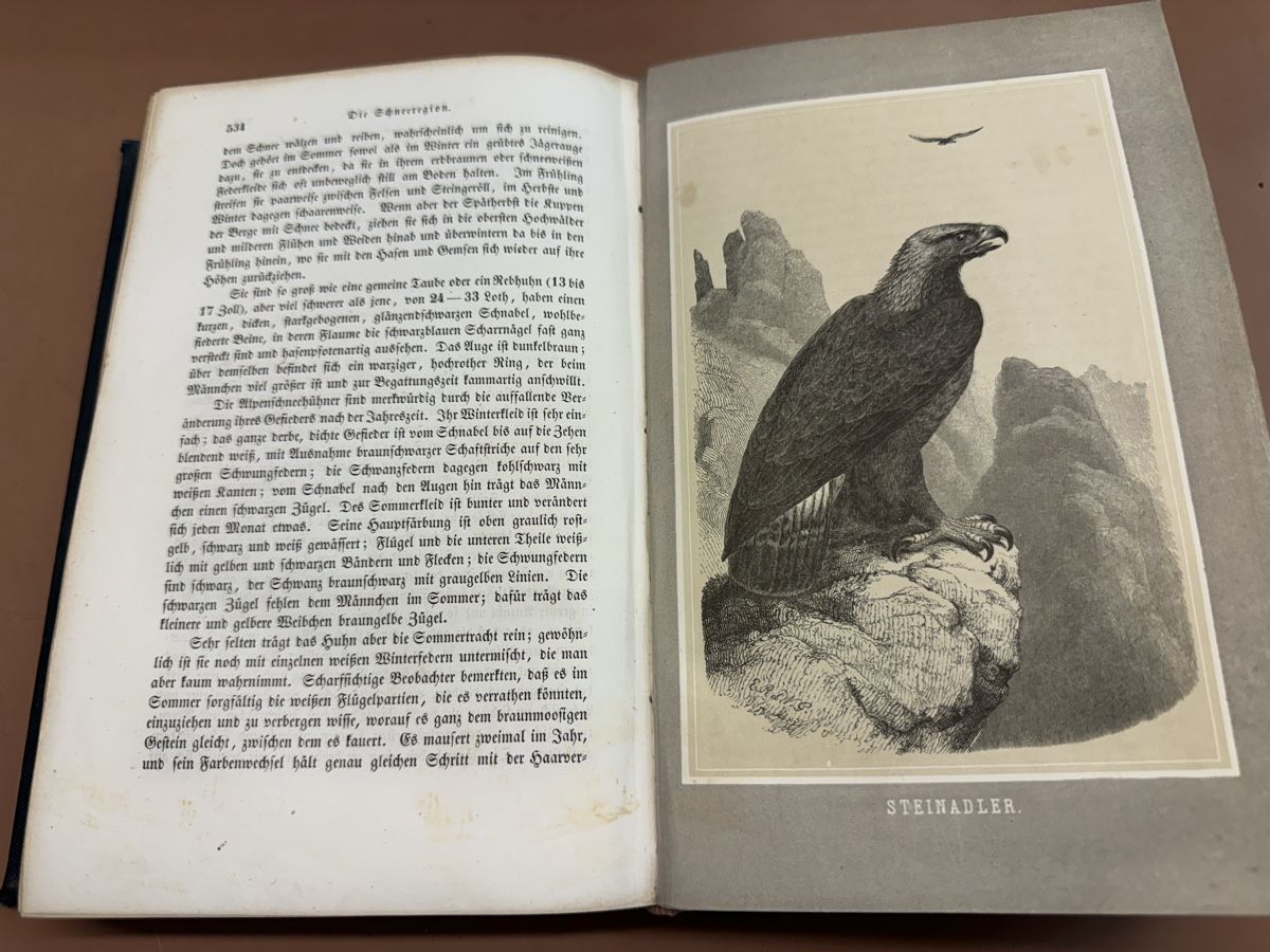 Libri: Buch Das Tierleben der Alpenwelt  1858 – Usato da Chur venduto da Meriva0 5