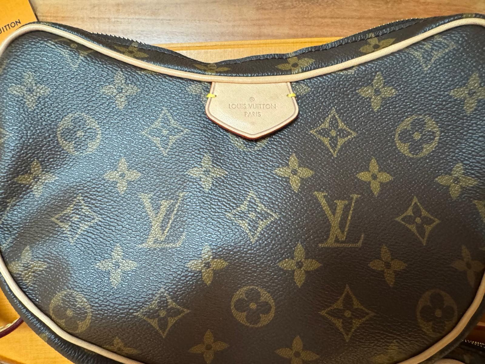 Louis Vuitton Borse da donna: Louis vuitton Croissant – Nuovo (secondo la descrizione) da Basel venduto da ssa_x5wz 1