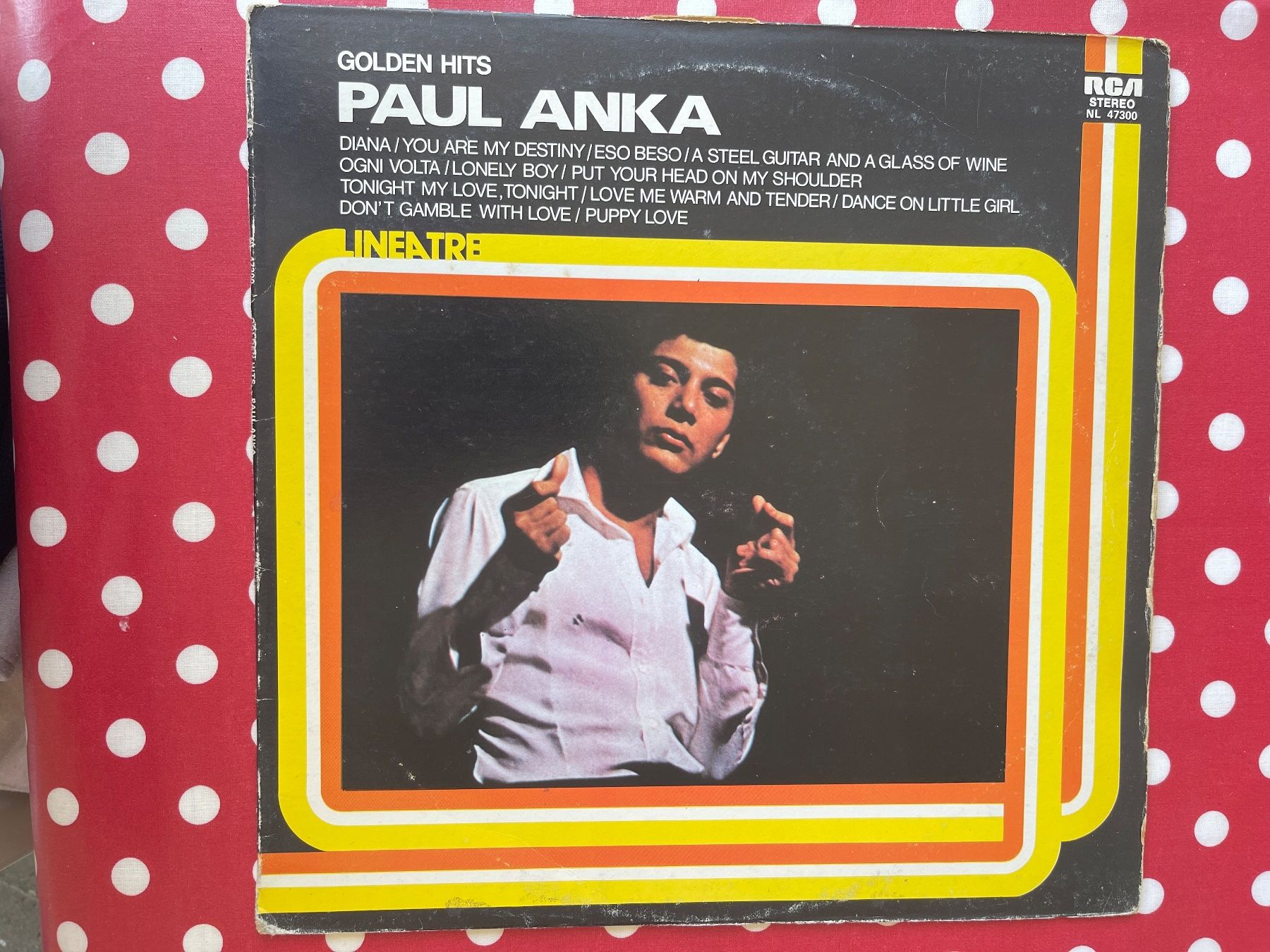 Vinyles: A526/Paul Anka - Golden Hits – D'occasion à Frutigen par Philippe_jsp