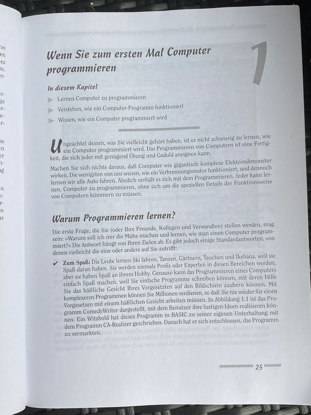 Libri: Programmieren für Dummies – Usato da Kreuzlingen venduto da don_ueli6wb5 5