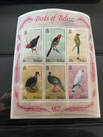 Belize Sonderblock Vögel 1977 **  (3965)