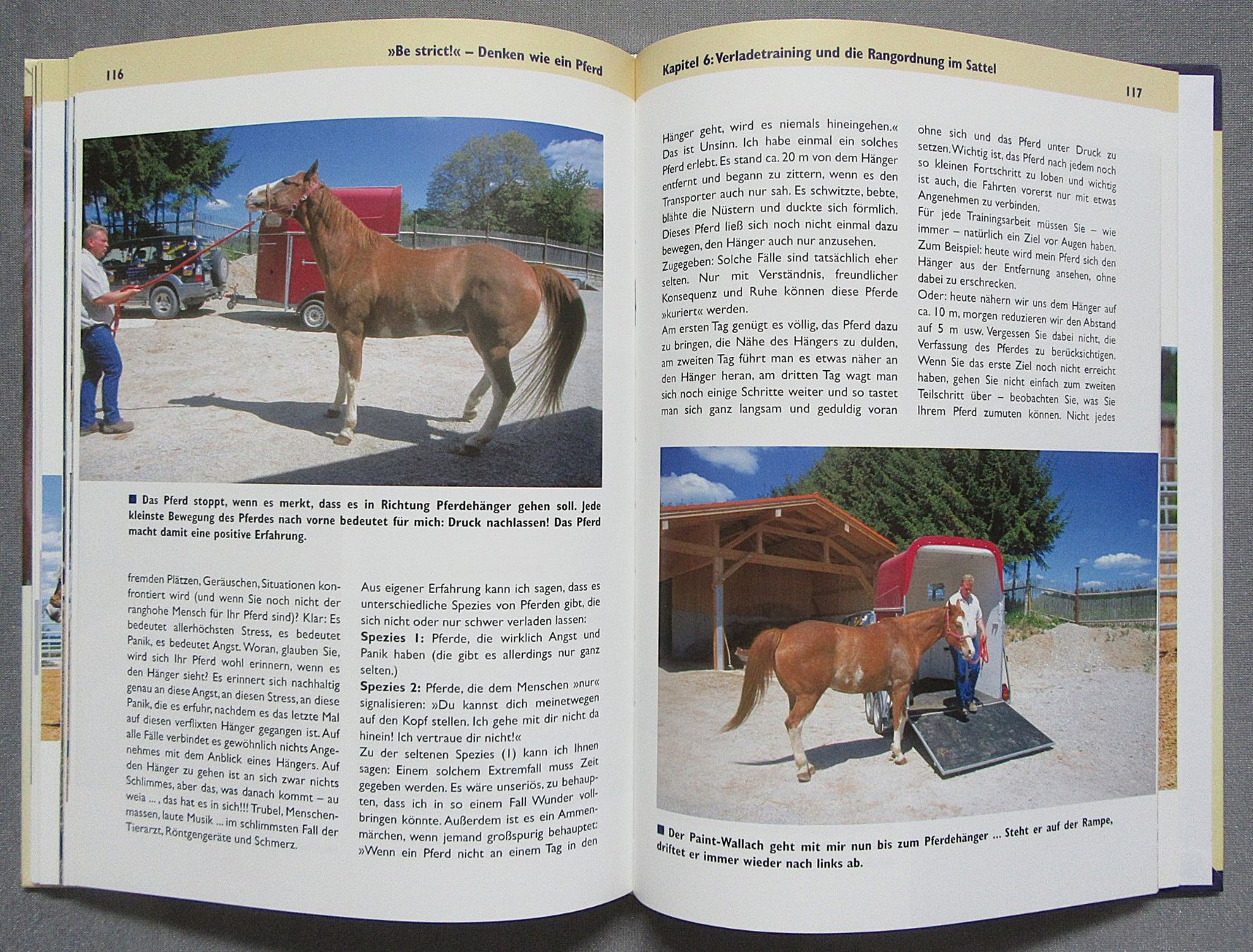 Libri: Be strict - Denken wie ein Pferd – Usato da Auenstein venduto da Padabimbim 7