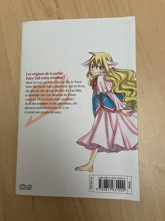 Livres: Fairytail zero – D'occasion à Chezard-St-Martin par Porschemeyery 2