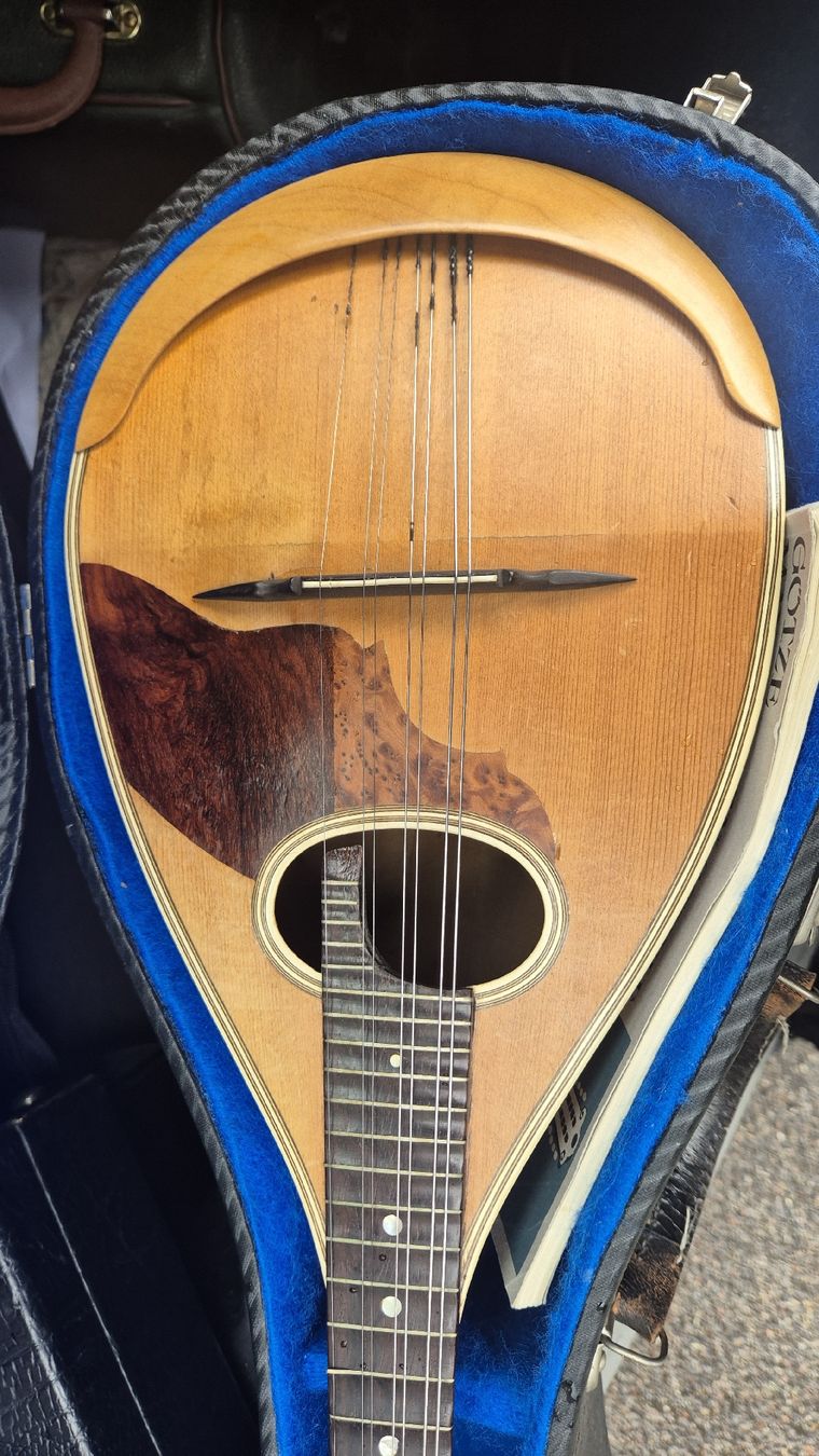 Strumenti musicali: Sehr schöne Alte Mandoline Ernst Rudolf Glier – Usato da Rämismühle venduto da beni0010 2