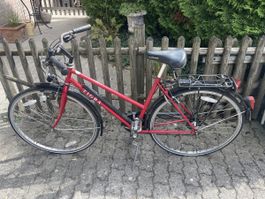 Tiagra Vintage Fahrrad
