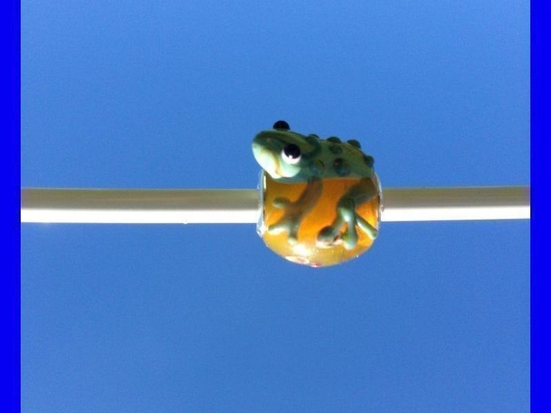 Ciondoli: CHARM BEAD FROSCH PANDORA-KOMPATIBEL – Usato da Subingen venduto da Etageren 2