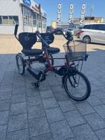 PF Mobility Duo Steps Therepiedreirad