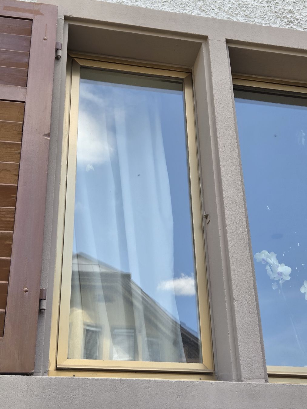 Finestre: Aluminium Fenster Schüco – Usato da Forch venduto da jan_qzf6 3