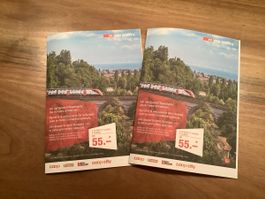 2x Spezial-Tageskarten