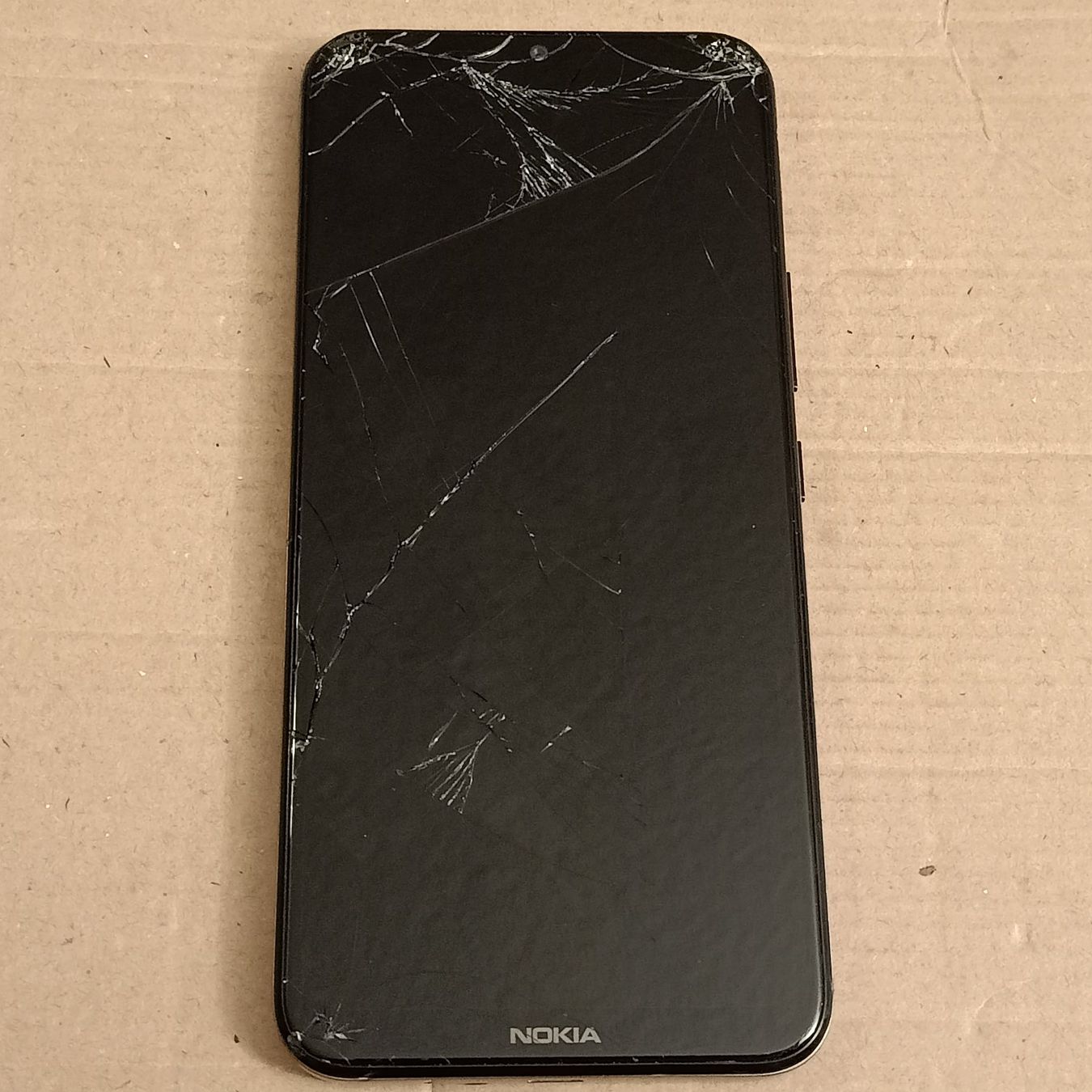 Nokia Telefoni cellulari / Smartphones: Android Handy Touchscreen defekt, Nokia c21 plus TA-1424 – Difettoso da Winterthur venduto da Opusco 1
