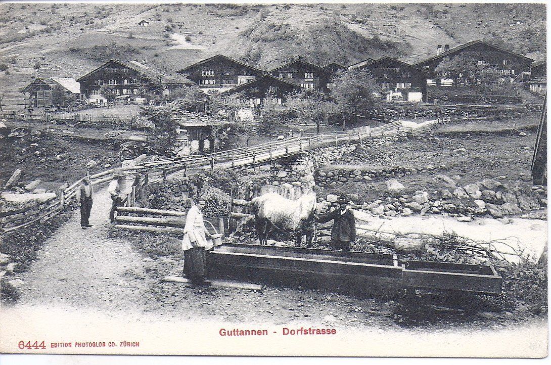 Cartoline postali: GUTTANNEN, dorfstrasse – Nuovo (secondo la descrizione) da Les Verrières venduto da Scampi0