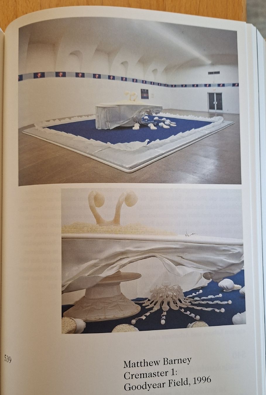Libri: Die Sammlung der Emanuel Hoffmann-Stiftung, Kunstbuch – Nuovo (secondo la descrizione) da Niederglatt ZH venduto da Siegfried67 9