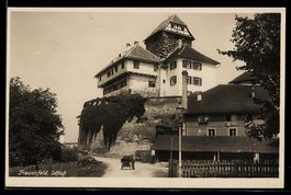 AK Frauenfeld, Straßenpartie mit Burg