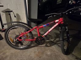 Rocky Mountain Kinder Velo 20 Zoll - Guter Zustand!