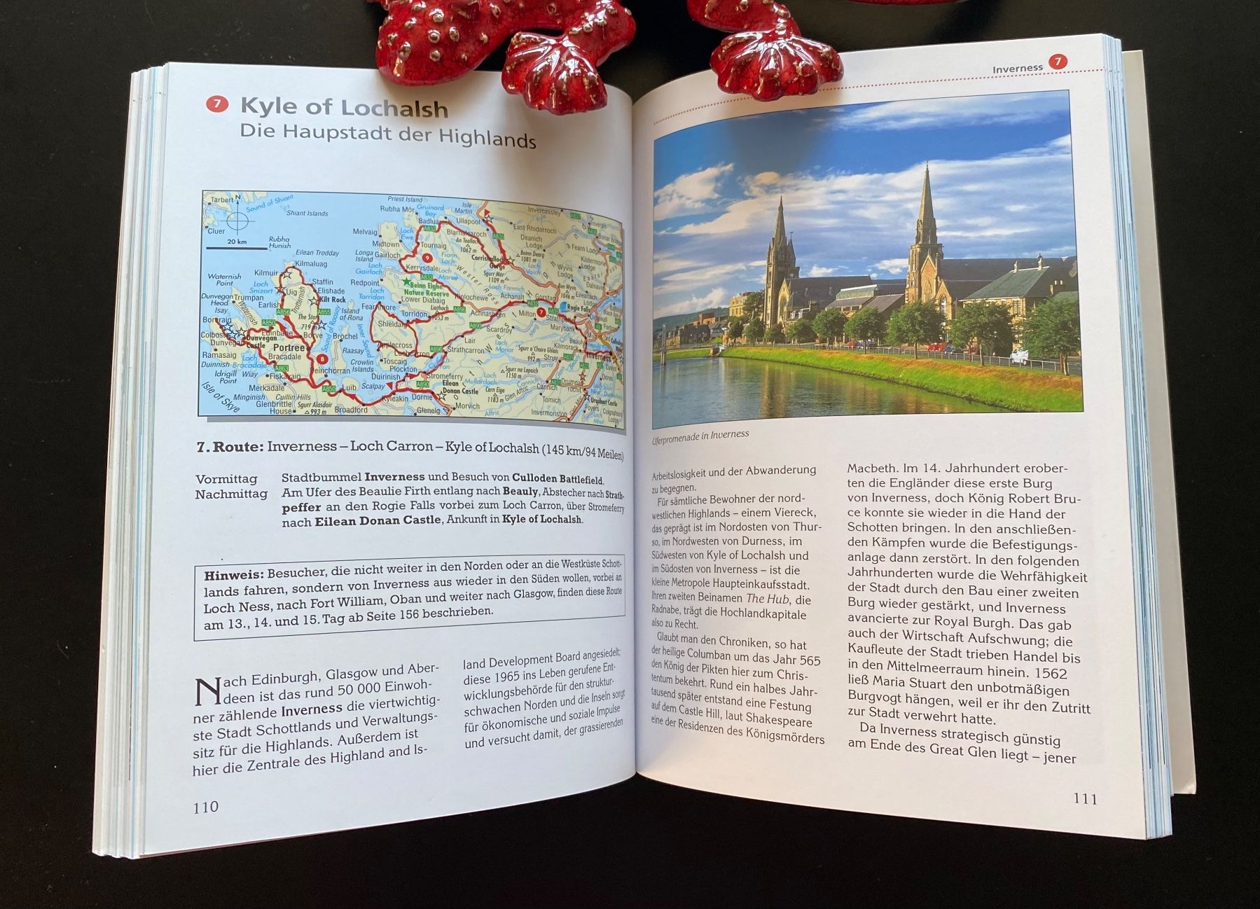 Libri: SCHOTTLAND / REISEFÜHRER – Usato da Nussbaumen AG venduto da schuba2000 4