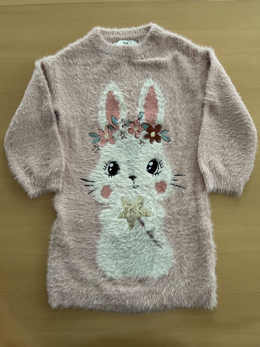 Lotti & Set di vestiti: 2 warme Pullovers / 2 Thermoshirts Mädchen Gr. 116 – Nuovo (secondo la descrizione) da Forch venduto da CorinneB-K 1
