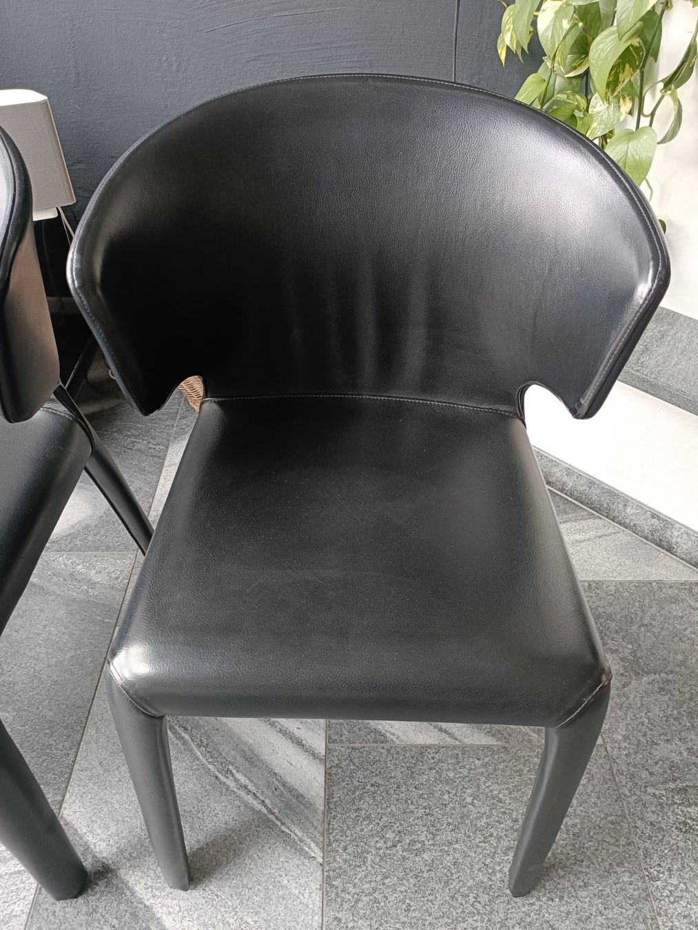 Cassina Sedie: Stühle Cassina Hola 367 / 4 Stück – Usato da Schmitten FR venduto da oldtimer82 7