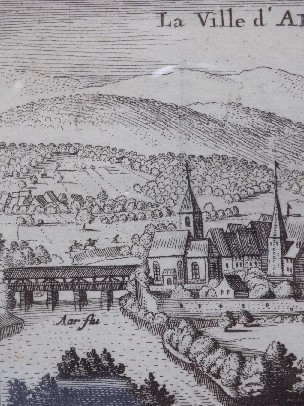 Incisioni: Aarberg von Scheuchzer selten – Usato da Risch venduto da Rischli15 5