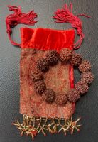 Prächtiges Rudraksha Armband Set